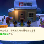 Nook’s Cranny Opening Hours