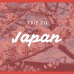 To lose in Japanese 無くす？亡くす？失う？