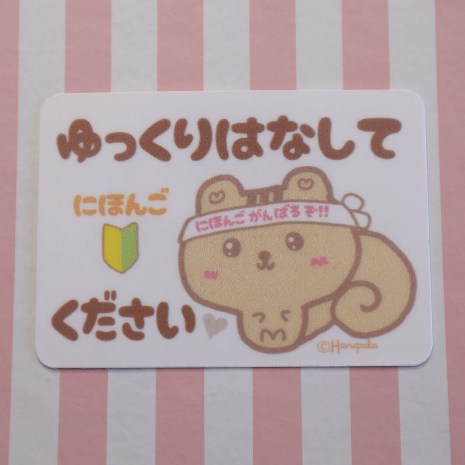 Japanese Speak Slowly Please Squirrel Vinyl Sticker Badge - Image 2